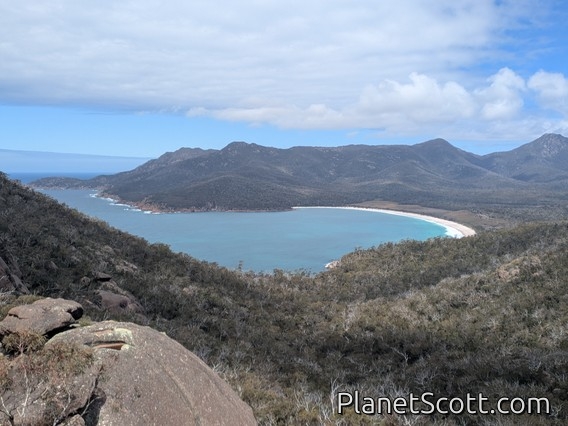 Wineglass Bay