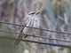 Image from 2026-04-09