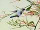 Image from 2026-04-10