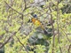 Image from 2026-04-10