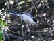 Image from 2026-04-10