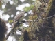 Image from 2026-04-11
