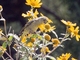 Image from 2026-04-11