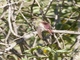 Image from 2026-04-12