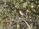 Image from 2026-04-12