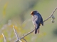 Image from 2026-04-12