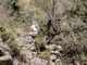 Image from 2026-04-12