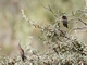 Image from 2026-04-12