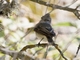 Image from 2026-04-12