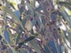 Image from 2026-04-12