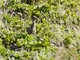 Image from 2026-04-12