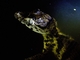 Yacare Caiman (Caiman yacare)