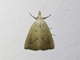 Image from 2026-04-14