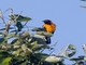 Image from 2026-04-15