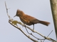 Image from 2026-04-15