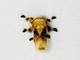 Image from 2026-04-15