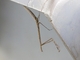 Mantis (Mantidae sp)
