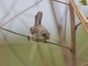 Image from 2026-04-16