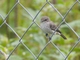 Image from 2026-04-16