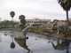 La Brea Tar Pits, Los Angeles