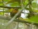 Image from 2026-04-19