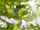 Image from 2026-04-19