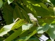 Image from 2026-04-21