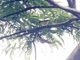 Image from 2026-04-21