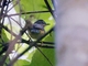 Image from 2026-04-22