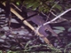 Image from 2026-04-23