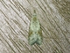 Tortricid Leafroller Moth (Tortricidae sp)