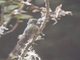 Image from 2026-04-25