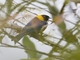 Image from 2026-04-26