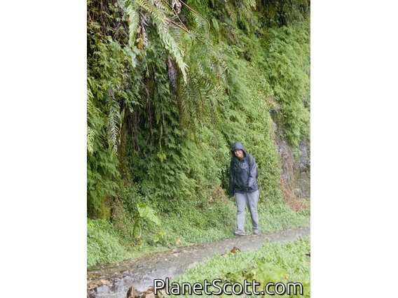 Barbara walks through the waterfall