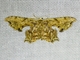 Swallowtail Moth (Erosia sp)