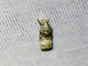 Crambid Snout Moth (Crambidae sp)