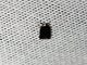 Tufted Moth (Nolidae sp)