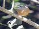 Image from 2026-05-06