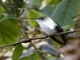 Image from 2026-05-06