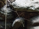 Image from 2026-05-06