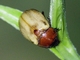 Image from 2026-05-06