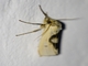 Image from 2026-05-06