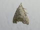 Image from 2026-05-06