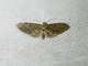 Image from 2026-05-06