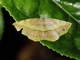 Image from 2026-05-06