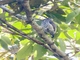 Image from 2026-05-07