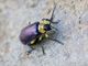 Image from 2026-05-07