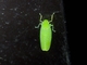 Image from 2026-05-07