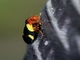 Image from 2026-05-07