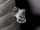 Image from 2026-05-07